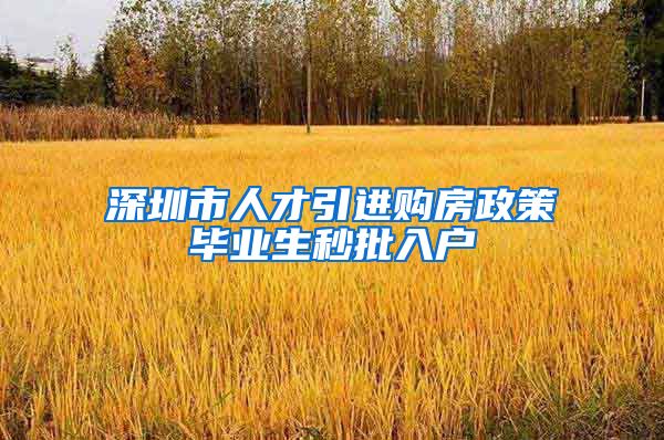 深圳市人才引进购房政策毕业生秒批入户