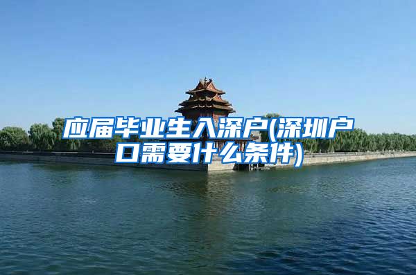 应届毕业生入深户(深圳户口需要什么条件)