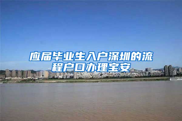 应届毕业生入户深圳的流程户口办理宝安