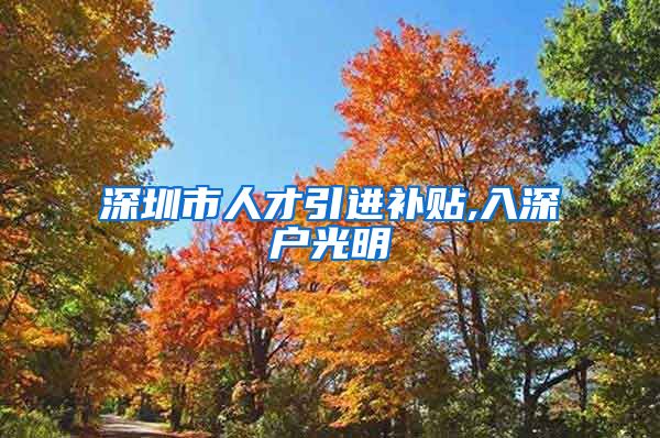 深圳市人才引进补贴,入深户光明