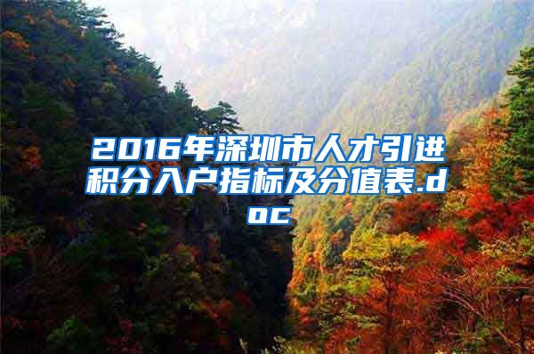 2016年深圳市人才引进积分入户指标及分值表.doc