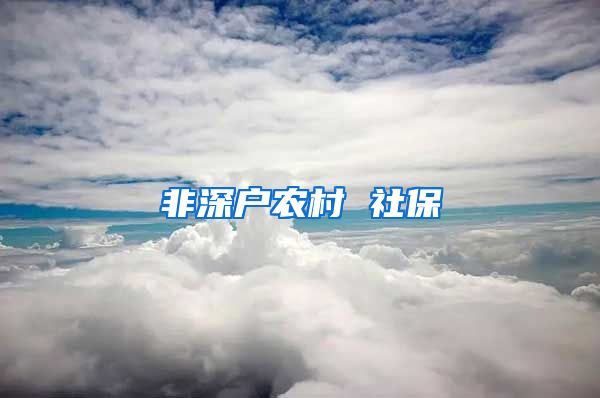 非深户农村 社保