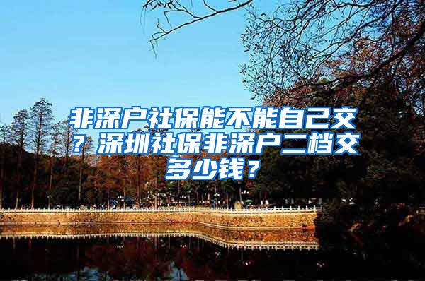 非深户社保能不能自己交？深圳社保非深户二档交多少钱？