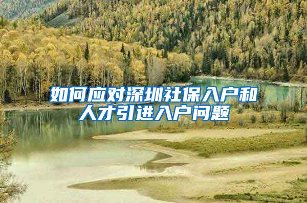 如何应对深圳社保入户和人才引进入户问题
