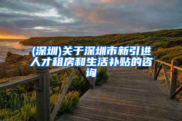 (深圳)关于深圳市新引进人才租房和生活补贴的咨询