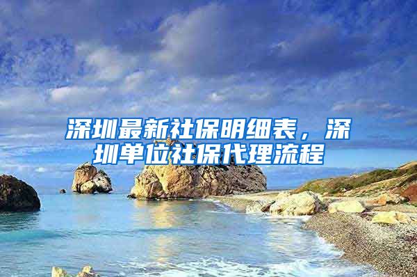 深圳最新社保明细表，深圳单位社保代理流程