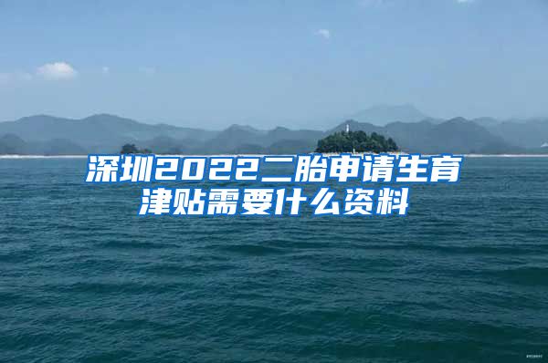 深圳2022二胎申请生育津贴需要什么资料