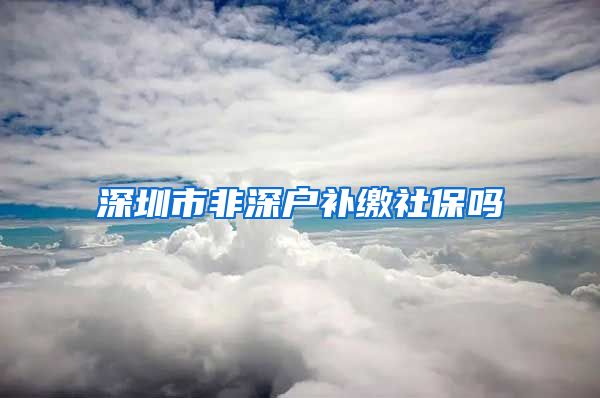 深圳市非深户补缴社保吗