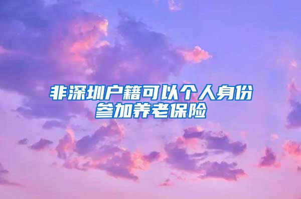 非深圳户籍可以个人身份参加养老保险