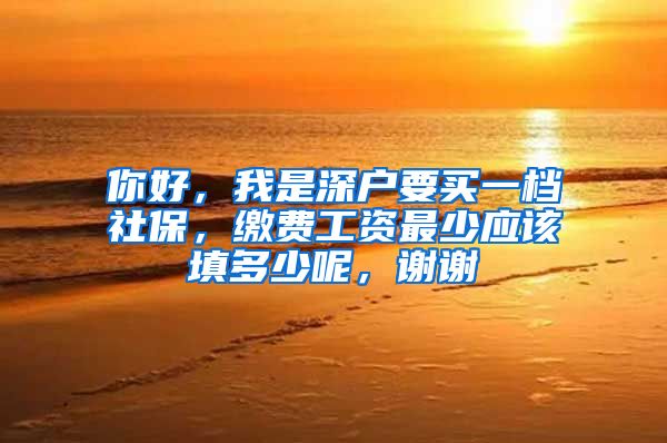 你好，我是深户要买一档社保，缴费工资最少应该填多少呢，谢谢