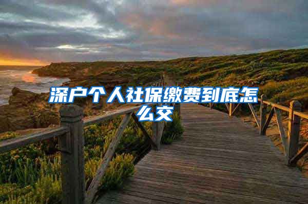 深户个人社保缴费到底怎么交