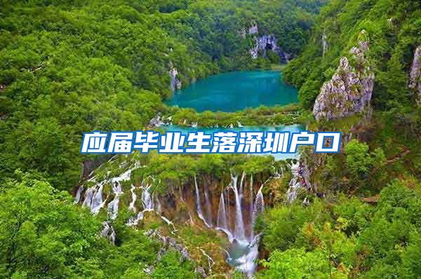 应届毕业生落深圳户口