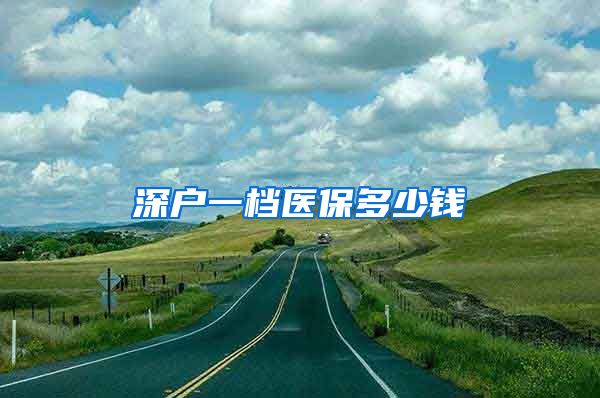深户一档医保多少钱