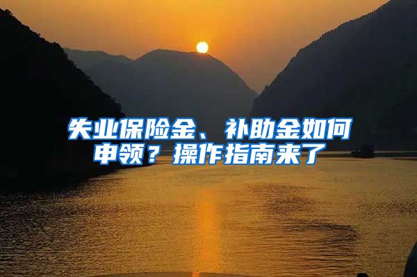 失业保险金、补助金如何申领？操作指南来了