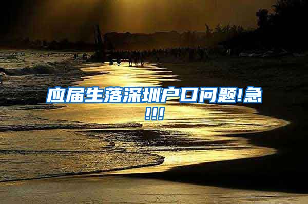 应届生落深圳户口问题!急!!!