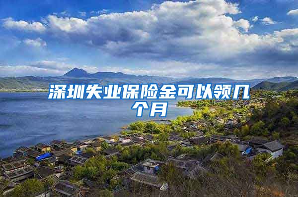 深圳失业保险金可以领几个月