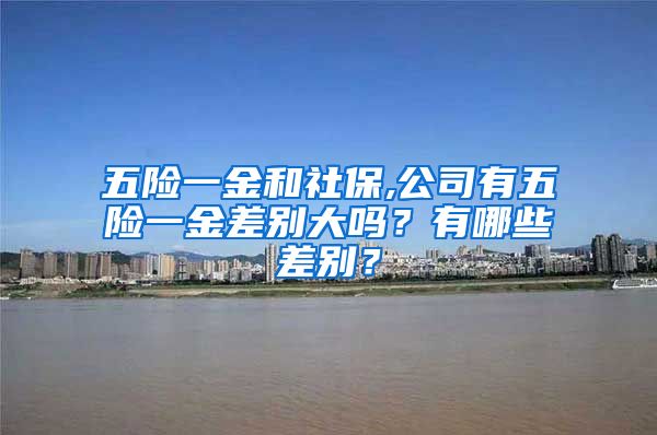 五险一金和社保,公司有五险一金差别大吗？有哪些差别？