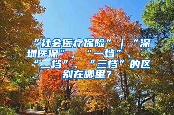 “社会医疗保险”｜“深圳医保”，“一档”、“二档”、“三档”的区别在哪里？