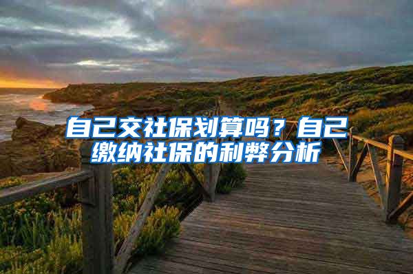 自己交社保划算吗？自己缴纳社保的利弊分析
