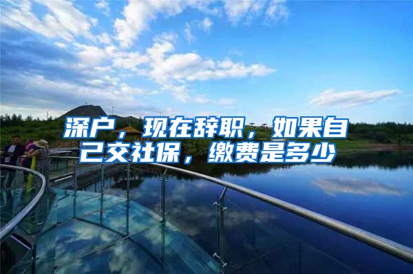 深户，现在辞职，如果自己交社保，缴费是多少