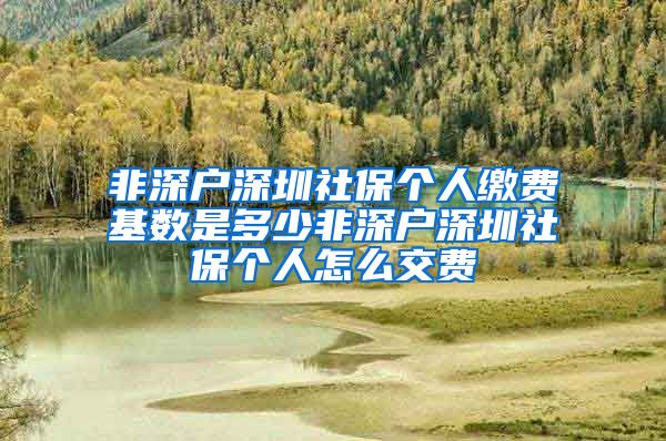 非深户深圳社保个人缴费基数是多少非深户深圳社保个人怎么交费