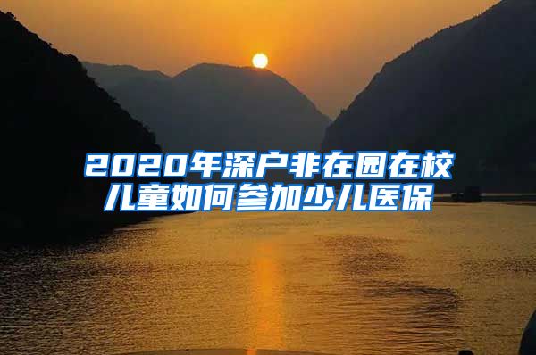 2020年深户非在园在校儿童如何参加少儿医保