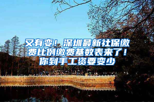 又有变！深圳最新社保缴费比例缴费基数表来了！你到手工资要变少