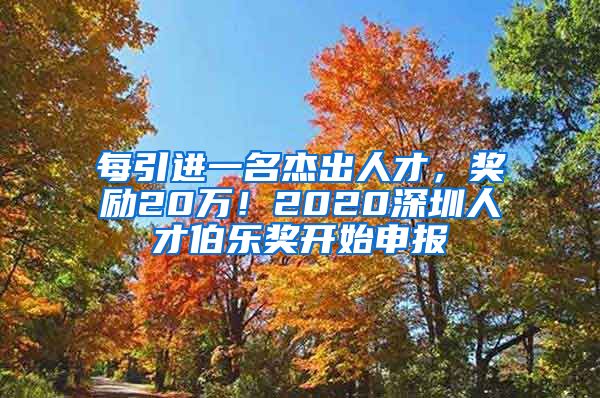 每引进一名杰出人才，奖励20万！2020深圳人才伯乐奖开始申报