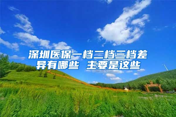 深圳医保一档二档三档差异有哪些 主要是这些