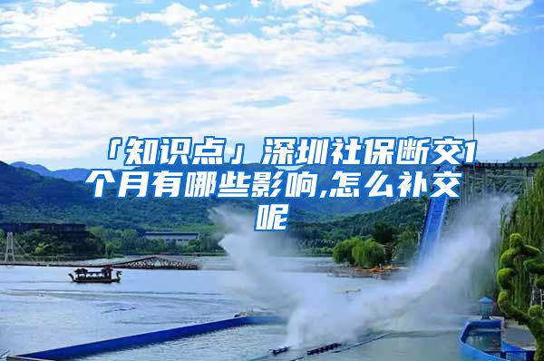 「知识点」深圳社保断交1个月有哪些影响,怎么补交呢