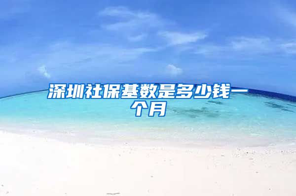 深圳社保基数是多少钱一个月