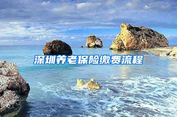 深圳养老保险缴费流程