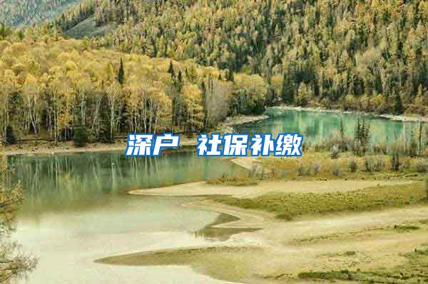 深户 社保补缴
