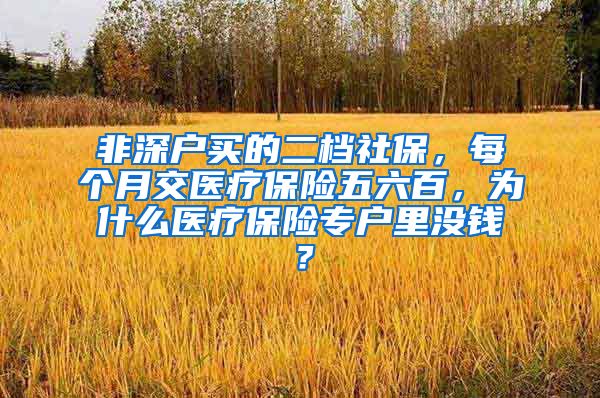 非深户买的二档社保，每个月交医疗保险五六百，为什么医疗保险专户里没钱？