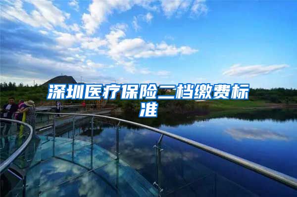 深圳医疗保险二档缴费标准