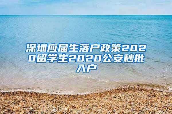 深圳应届生落户政策2020留学生2020公安秒批入户