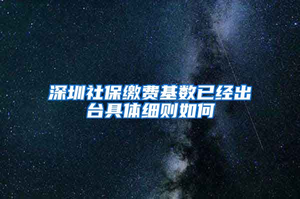深圳社保缴费基数已经出台具体细则如何