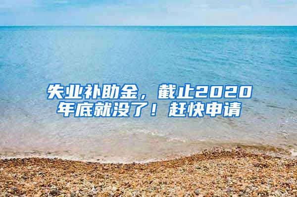 失业补助金，截止2020年底就没了！赶快申请