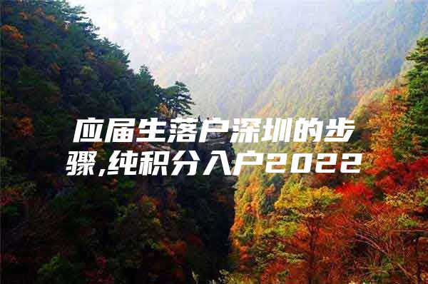 应届生落户深圳的步骤,纯积分入户2022