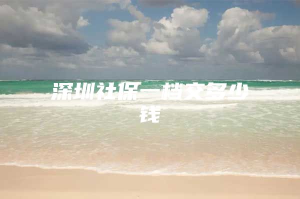 深圳社保一档交多少钱