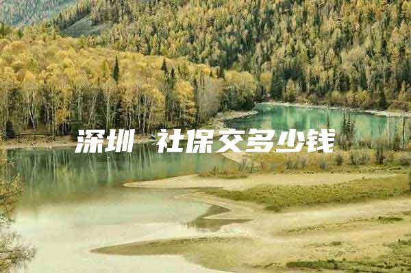 深圳 社保交多少钱