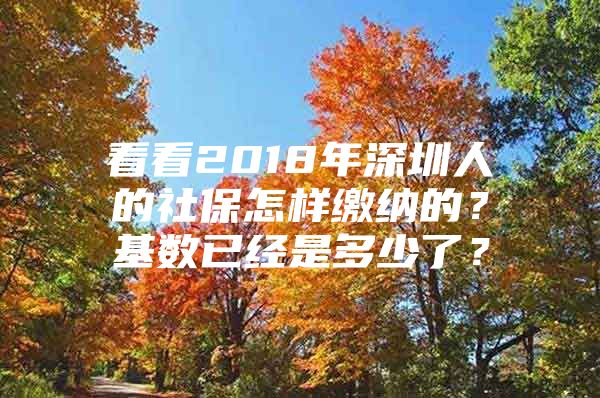 看看2018年深圳人的社保怎样缴纳的？基数已经是多少了？