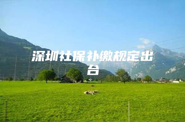 深圳社保补缴规定出台