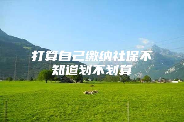 打算自己缴纳社保不知道划不划算
