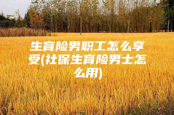 生育险男职工怎么享受(社保生育险男士怎么用)