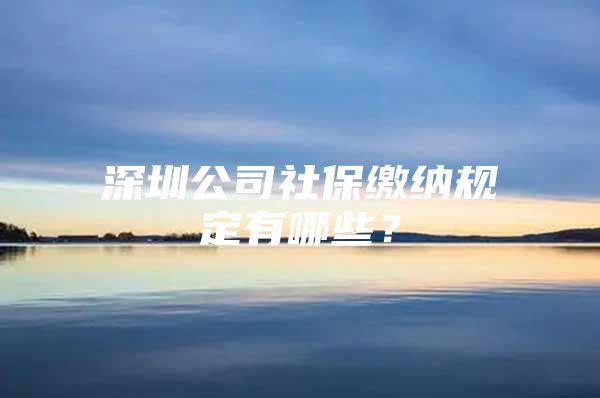 深圳公司社保缴纳规定有哪些？