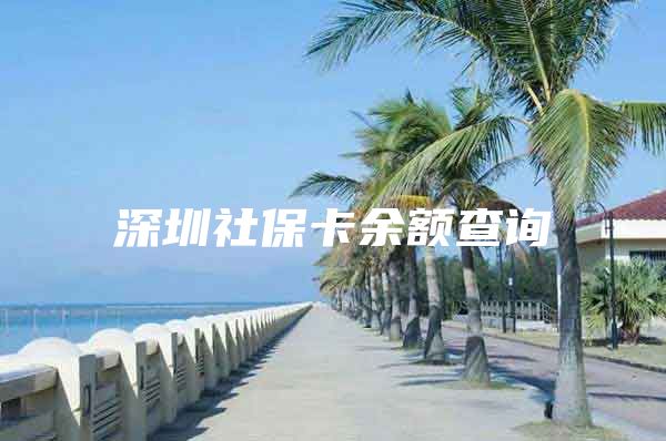 深圳社保卡余额查询