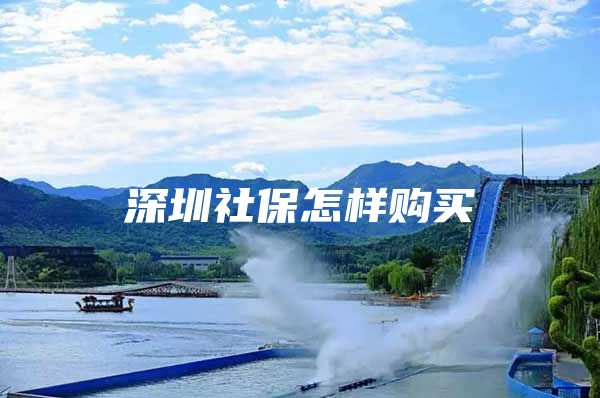 深圳社保怎样购买