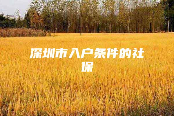 深圳市入户条件的社保