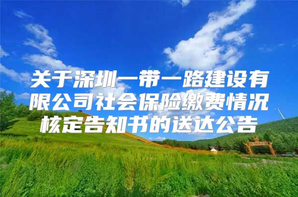 关于深圳一带一路建设有限公司社会保险缴费情况核定告知书的送达公告